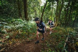 BIB: 279
                            <button type="button" onclick="openModal(22466019)" class="btn btn-primary btn-sm float-right btn-popup" data-toggle="modal" data-target=".modal-high-quality">
                        <i class="fas fa-shopping-cart"></i> Add to Cart
                    </button>
                                            <button type="button" onclick="isThisMe(22466019, true)" class="btn btn-success btn-sm float-right btn-popup btn-isme hidden" data-toggle="tooltip" data-placement="bottom" title="นี่คือรูปของคุณใช่ไหม คลิกที่นี่เพื่อเอาเข้าอัลบั้ม">
                        <i class="fas fa-plus"></i> Add to album
                    </button>
                    <button type="button" onclick="isThisMe(22466019, false)" class="btn btn-warning btn-sm float-right btn-popup btn-isnotme hidden">
                        <i class="fas fa-ban"></i> Remove from album
                    </button>